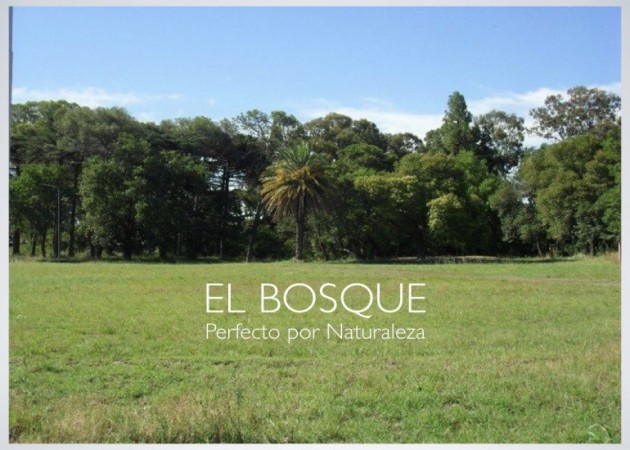 LOTEO EL BOSQUE. PERFECTO POR NATURALEZA