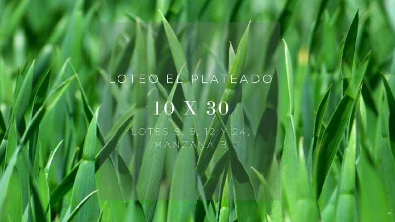 Oportunidad Loteo El Plateado 